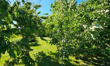 Casa en Venta en Casa en Parcelación Recondo - Chamiza