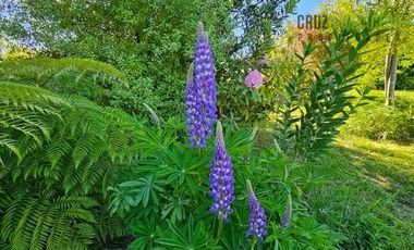 Casa en Venta en Casa en Parcelación Recondo - Chamiza