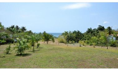 Un paraíso frente al Mar, en Pedasi!