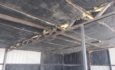 Edificio de 4 pisos, calle principal excelente ubicación