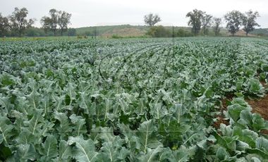 Ranchos Venta Cadereyta Jiménez Zona Cadereyta 27-RV-1808