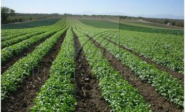 Ranchos Venta Cadereyta Jiménez Zona Cadereyta 27-RV-1808