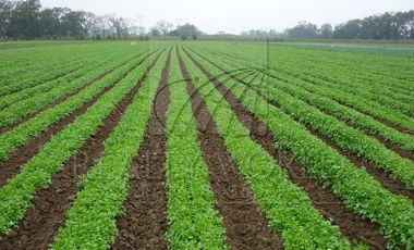 Ranchos Venta Cadereyta Jiménez Zona Cadereyta 27-RV-1808