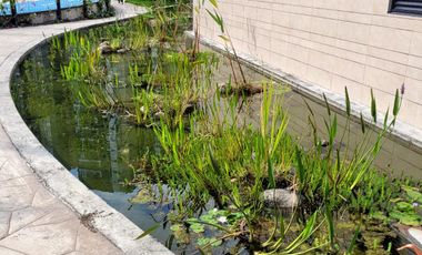 APARTAMENTO EN VENTA VIA CERRITOS/ PEREIRA