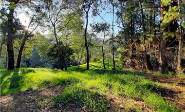 Venta Lote en Parcelación sector via Carabanchel la fe