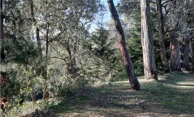 Venta Lote en Parcelación sector via Carabanchel la fe