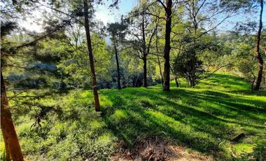 Venta Lote en Parcelación sector via Carabanchel la fe