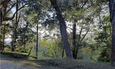 Venta Lote en Parcelación sector via Carabanchel la fe