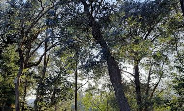 Venta Lote en Parcelación sector via Carabanchel la fe