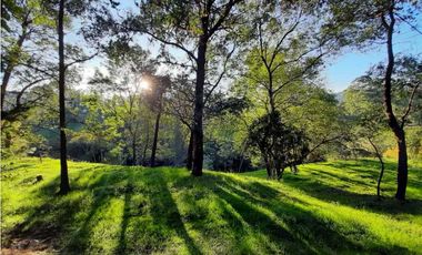 Venta Lote en Parcelación sector via Carabanchel la fe
