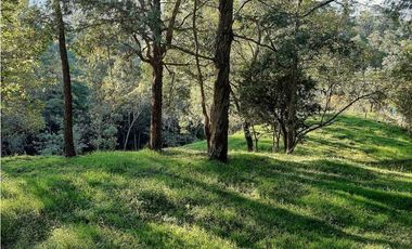 Venta Lote en Parcelación sector via Carabanchel la fe