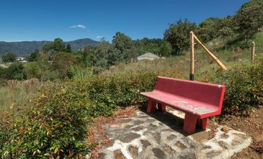 VENDO FINCA EN EL CORREGIMIENTO  DE SAN CRISTÓBAL