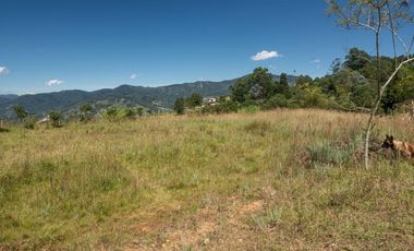 VENDO FINCA EN EL CORREGIMIENTO  DE SAN CRISTÓBAL