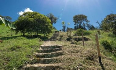 VENDO FINCA EN EL CORREGIMIENTO  DE SAN CRISTÓBAL