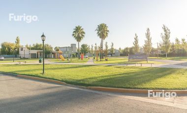 Terreno Soldini , Barrio Abierto Los Viñedos
