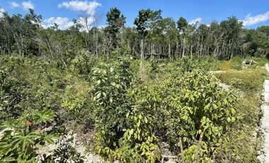 VENDO TERRENO ESCRITURADO EN CANCÚN QUINTANA ROO