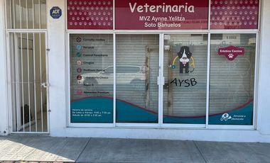 PLAZA COMERCIAL EN VENTA EN CORREGIDORA QUERETARO