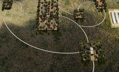 Terreno en Venta en Tótem, Kinchil