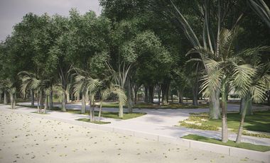 Terreno en Venta en Tótem, Kinchil