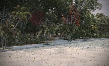 Terreno en Venta en Tótem, Kinchil