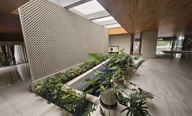 Palmas casa en renta