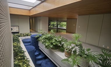 Palmas casa en renta