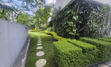 Palmas casa en renta