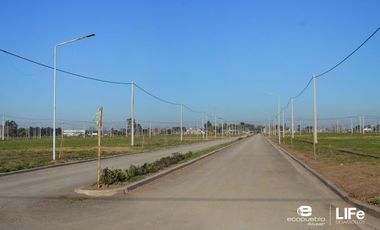 VENTA - LOTE DE 268M2 AVENIDA - BARRIO ABIERTO RESIDENCIAL - ALVEAR