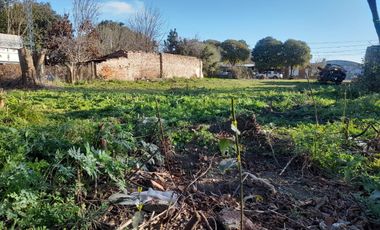 Terreno en  Bombal