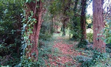 Terreno en venta - 600Mts2 - Florencio Varela