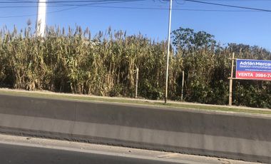 Fraccion de terreno 3.000mts. Avellaneda