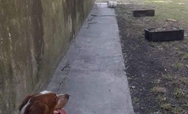 Depósito en venta - 4 Ambientes - 2 Baños - Cochera - 2.100Mts2 - Mar del Plata