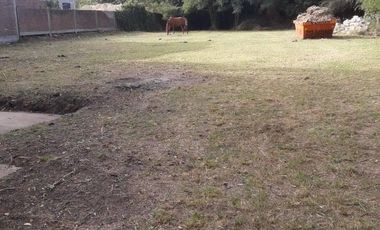 Depósito en venta - 4 Ambientes - 2 Baños - Cochera - 2.100Mts2 - Mar del Plata