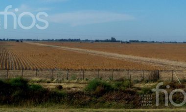 VENTA TERRENO EN QUEBRADA DE ANDINO II