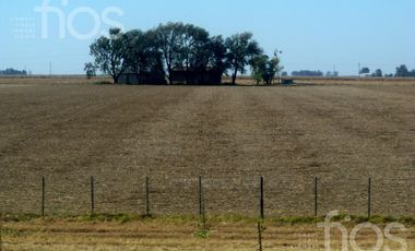 VENTA TERRENO EN QUEBRADA DE ANDINO II