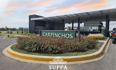 Terreno en  Carpinchos Nordelta