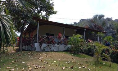 Hotel En Palomino Guajira Colombia