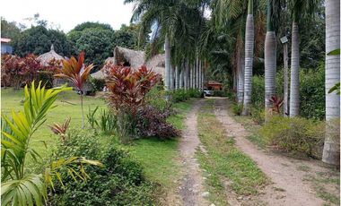 Hotel En Palomino Guajira Colombia