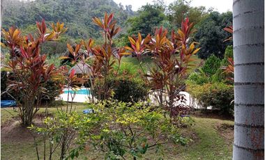 Hotel En Palomino Guajira Colombia
