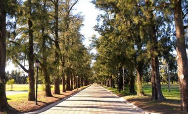 Lote Azahares Del Parana