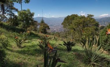 VENDO FINCA EN EL CORREGIMIENTO  DE SAN CRISTÓBAL