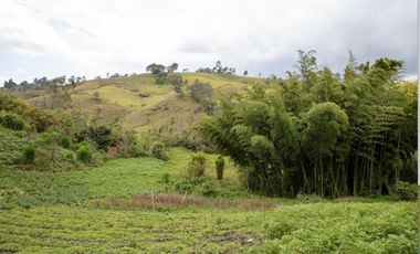 A la venta finca en Marinilla/ Lote 16.000mt2