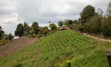 A la venta finca en Marinilla/ Lote 16.000mt2