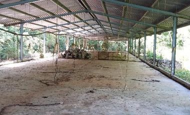 TERRENO VENTA PARA GRANJA DE ENGORDA DE POLLOS MUY CERCA DE CANCUN