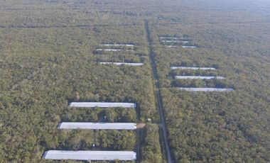 TERRENO VENTA PARA GRANJA DE ENGORDA DE POLLOS MUY CERCA DE CANCUN