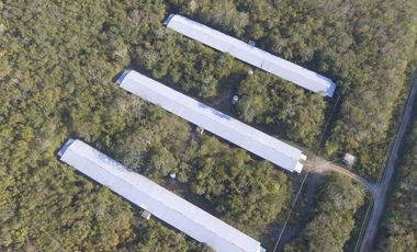 TERRENO VENTA PARA GRANJA DE ENGORDA DE POLLOS MUY CERCA DE CANCUN