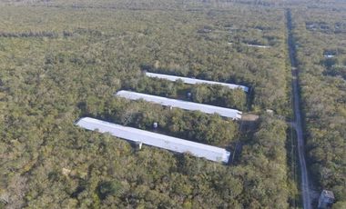 TERRENO VENTA PARA GRANJA DE ENGORDA DE POLLOS MUY CERCA DE CANCUN