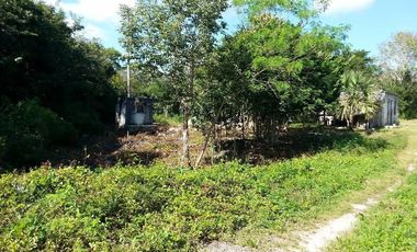 TERRENO VENTA PARA GRANJA DE ENGORDA DE POLLOS MUY CERCA DE CANCUN