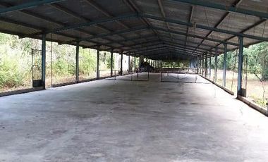 TERRENO VENTA PARA GRANJA DE ENGORDA DE POLLOS MUY CERCA DE CANCUN