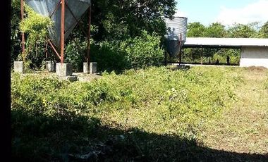 TERRENO VENTA PARA GRANJA DE ENGORDA DE POLLOS MUY CERCA DE CANCUN